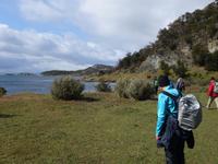 Wanderung am Beagle-Kanal im Feuerland-Nationalpark (13)