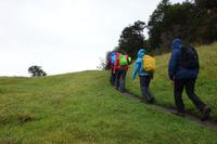 Wanderung am Beagle-Kanal im Feuerland-Nationalpark in Usuahia
