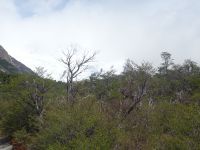 Wanderung zum Cerro Torre