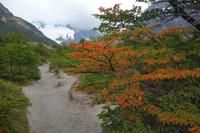 Wanderung zur Laguna Torre im Nationalpark Los Glaciares in El Chalten
