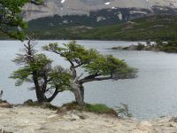 Wanderung zur Lagune de los Tres