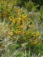 Wanderung zur Lagune de los Tres