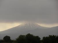 Ararat