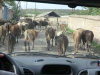 Auf dem Weg nach Yerevan