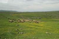 Unterwegs zu der Festung Amberd