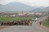 Schwierige Straßenverhältnisse