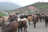 Schwierige Straßenverhältnisse