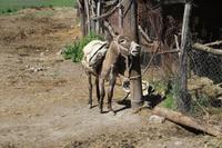 Höhlendorf  Khndzoresk