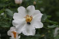 beim Spaziergang durch die Schlucht