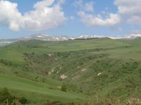 Goris