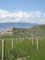 IMG_7403