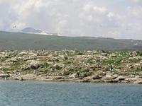 Möweninsel