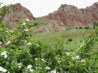 Noravank
