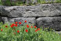 im Tempel von Garni