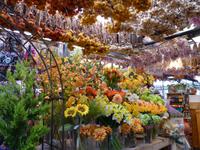 Tulpenmarkt Amsterdam