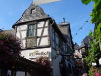 Rüdesheim - Drosselhof