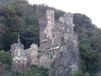 Rheinfahrt - Burg Rheinfels