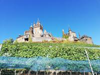 Cochem- Reichsburg