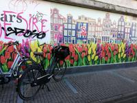 Tulpenmarkt Amsterdam