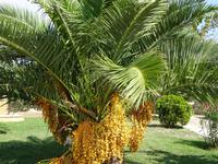 Ethnographisches Freilichtmuseum Qala