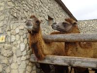 Ethnographisches Freilichtmuseum Qala