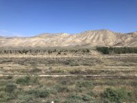 Aufforstungsversuche