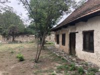 Viktor-Klein-Haus Garten