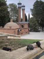 Ganja Schah-Abbas-Moschee