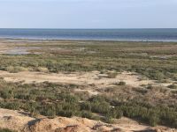 Zurück am Kaspischen Meer