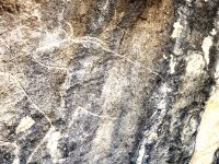 Stier Felsbild &ndash; &copy; Simone Willner (Eberhardt TRAVEL)