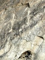 Felsbilder von Qobustan &ndash; &copy; Simone Willner (Eberhardt TRAVEL)