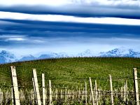 Chateau Monolit, Weingut &ndash; &copy; Simone Willner (Eberhardt TRAVEL)