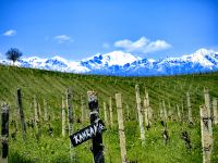 Blick vom Weingut Monolit auf die Berge des Kaukasus &ndash; &copy; Simone Willner (Eberhardt TRAVEL)