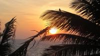 0021 Hotel Mount Lavinia Colombo - Sonnenuntergang