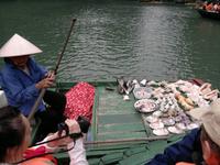 0149  Ha-Long-Bucht 