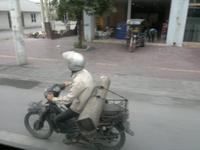 0176 Transportprofi