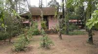 0236 Hue - Thien Mu