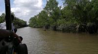 0385 Mekong.jpg