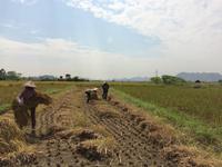 039 Weg nach Halong
