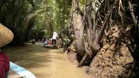 0407 Mekong Einhorninsel - Sampas.jpg