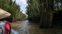 0409 Mekong Einhorninsel - Sampas.jpg