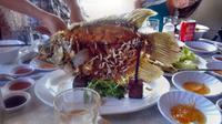 0421  Mekong - Einhorninsel - Elefantenohrfisch VORHER.jpg