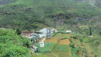 0621 Fahrt nach Nuwara Eliya -