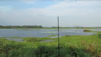 0700 Fahrt zum Yala-Nationalpark -