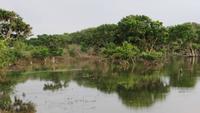 0756 Im Yala-Nationalpark