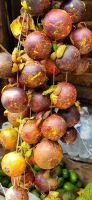 110 Mangosteen Früchte