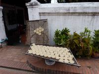 003. Luang Prabang, Laos