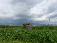 230.  Inle Lake, Myanmar