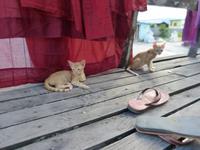 298. Shweyanpyay Kloster, Myanmar