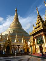 551. Shwedagon Pagode, Yangon, Myanmar